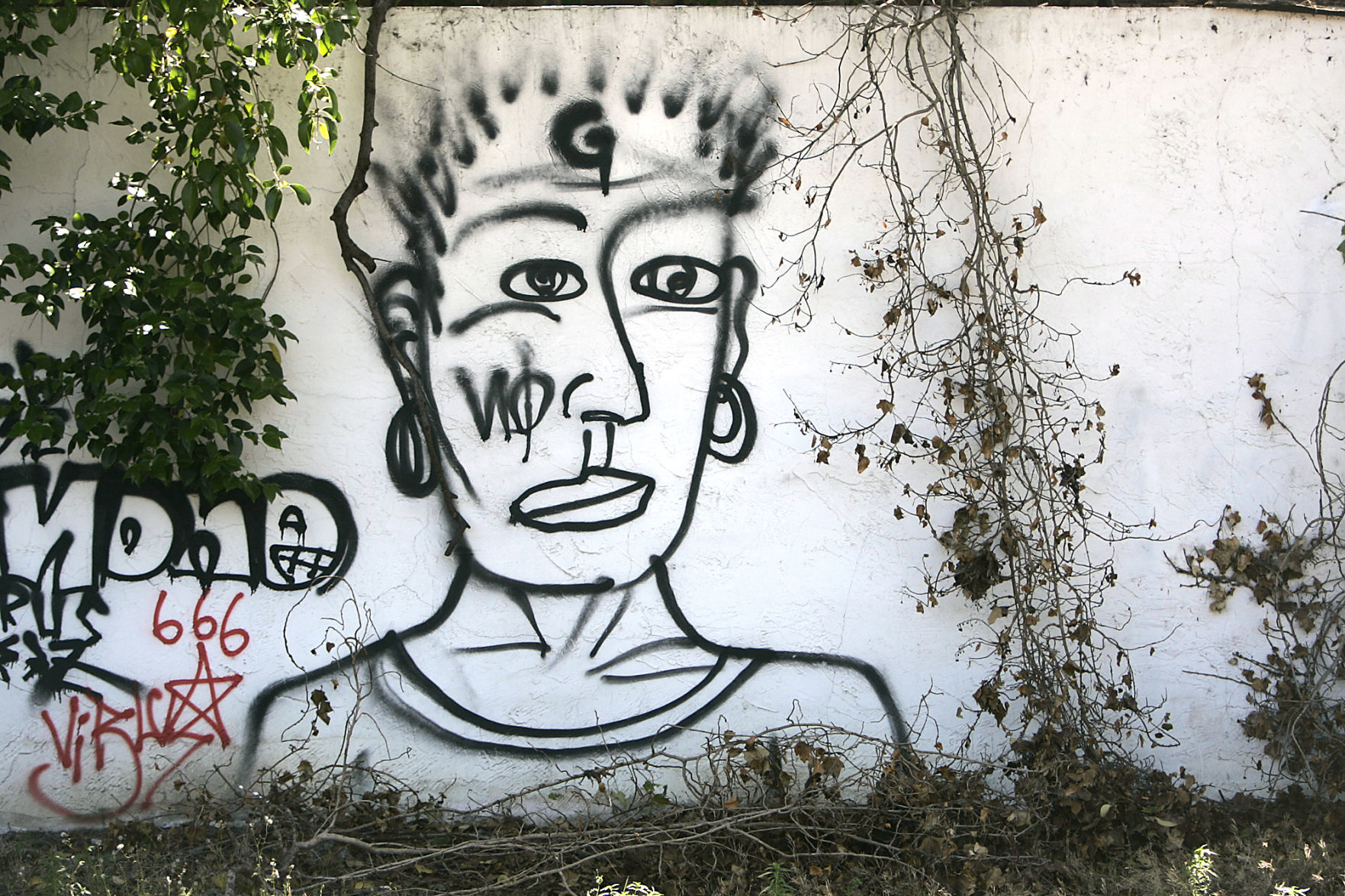 Vine Trail Grafitti
